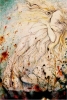 La morte di Ofelia 1967